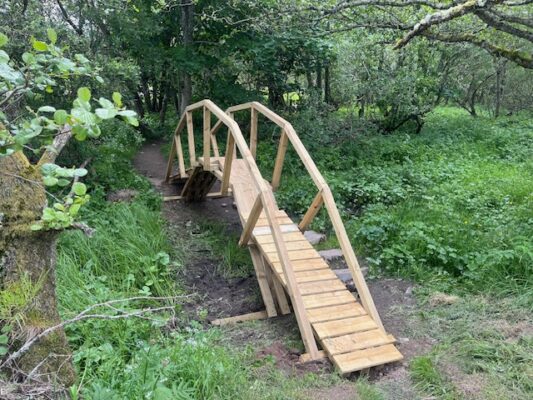 Mark's bridge on the Wildcat Trail