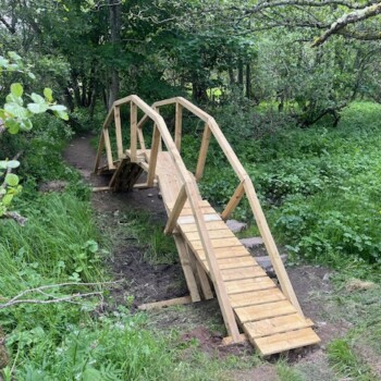 Mark's bridge on the Wildcat Trail Mark's bridge on the Wildcat Trail