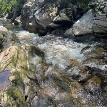 Water coursing through the Wildcat Trail Water coursing through the Wildcat Trail