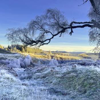 Wildcat Trail in winter Wildcat Trail in winter