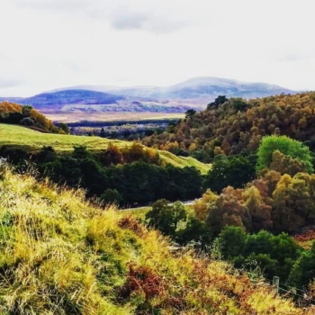 Autumn edging in Autumn edging in
