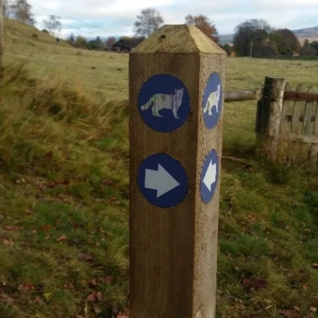 Wooden markers guide your way Wooden markers guide your way