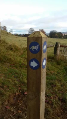 Wooden markers guide your way