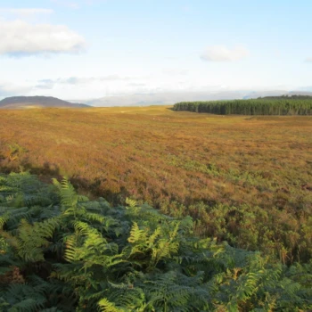 Looking across to the Grampian Mountains Looking across to the Grampian Mountains