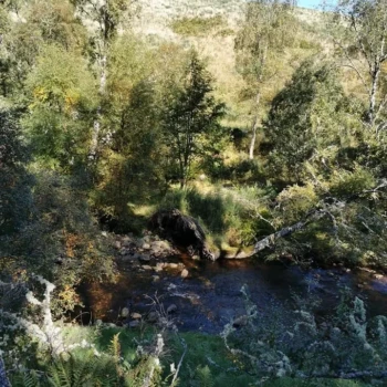 Beautiful scenery on the Wildcat Trail Beautiful scenery on the Wildcat Trail
